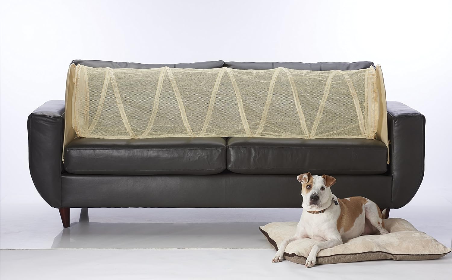 Keep Pets Off of Your Furniture! (Black) - Grand Goldman