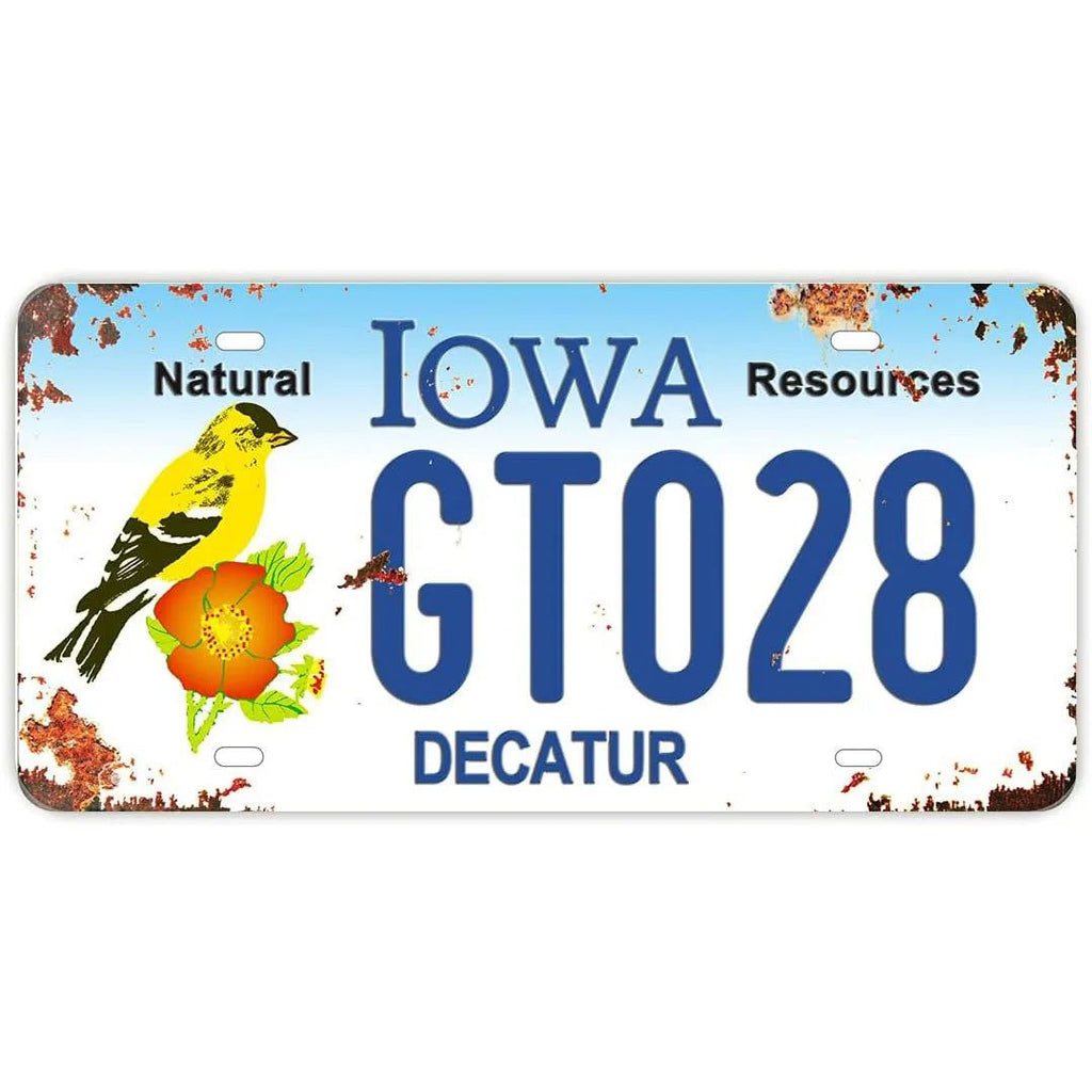 License Plate USA Retro Car Metal License Plate Novelty Wall Decoration Auto License Plate Signs Front Cover Garage Cafe Pub Bar - Grand Goldman