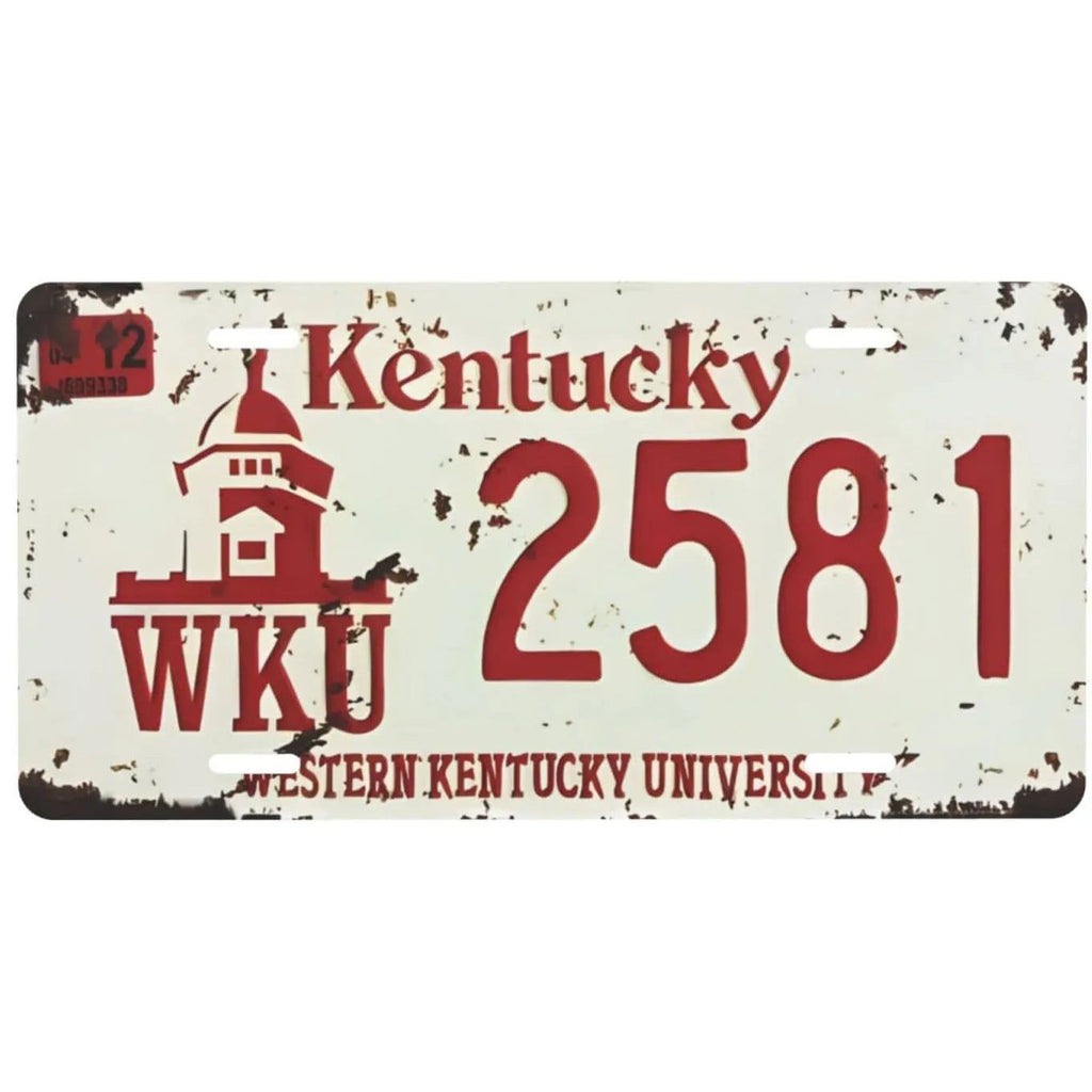 License Plate USA Retro Car Metal License Plate Novelty Wall Decoration Auto License Plate Signs Front Cover Garage Cafe Pub Bar - Grand Goldman