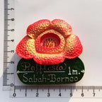 Malaysian Lumpur Fridge Magnet Souvenirs for The House Decoration Landmark Twin Towers Sabah Borneo 3d Refrigerator Stickers - Grand Goldman