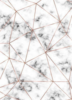 Modern Living Room Geometric Line Carpet - Grand Goldman