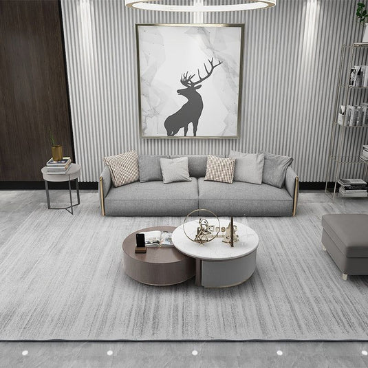 Modern Minimalist Atmosphere Living Room Carpet - Grand Goldman