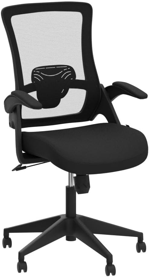 NEO CHAIR High Back Mesh Chair Adjustable Height and Ergonomic Design Home Office Computer Desk Chair Executive Lumbar Support Padded Flip-up Armrest Swivel Chair (Black) - Grand Goldman