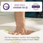 NapQueen Twin Size Mattress, 6 Inch Anula Green Tea Infused Memory Foam Mattress, Twin Size Mattress Bed in a Box, CertiPUR-US Certified Mattress - Grand Goldman