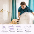 NapQueen Twin Size Mattress, 6 Inch Anula Green Tea Infused Memory Foam Mattress, Twin Size Mattress Bed in a Box, CertiPUR-US Certified Mattress - Grand Goldman