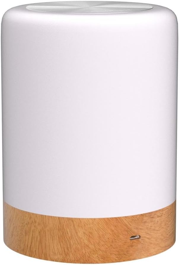 Night Light, Touch Lamp for Bedrooms Living Room Portable Table Bedside Lamps with Rechargeable Internal Battery Dimmable 2800K-3100K Warm White Light & Color Changing RGB (Regular Size)… - Grand Goldman