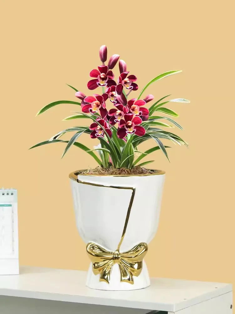 Nordic New Style Ceramic Vase Plants Bonsai Pots Home Decoration Urns With Band Creative Personality Tulip Large Pots - Buy Colored Vases with Unique Design - Grand Goldman