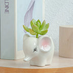 Nordic New Style Porcelain Ceramic Figurine Animal Flower Pot Cartoon Zebra Sheep Cow Head Mini Pot Succulents Plants Bonsai Pots Home Decoration - Grand Goldman