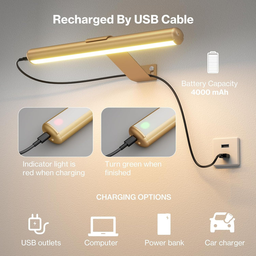 Olafus Wireless Picture Light Rechargeable Battery Operated, Remote Control Painting Lamp with Removable Tube, Infinitely Dimmable, Timer, Photo Frame Art Light, Gallery Display Wall Light, Gold - Grand Goldman