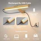 Olafus Wireless Picture Light Rechargeable Battery Operated, Remote Control Painting Lamp with Removable Tube, Infinitely Dimmable, Timer, Photo Frame Art Light, Gallery Display Wall Light, Gold - Grand Goldman