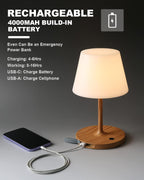 Outdoor Battery Operated Table Lamp Waterproof, 4000mAh Cordless Rechargeable, Touch Dimmable Desk Lamp, LED Night Light for Patio Camping Restaurant Home, H9.6in, Wood Grain - Grand Goldman