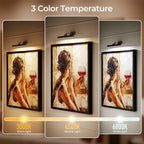 Picture Lights for Wall, Battery Operated Picture Light 16in Gallery Light for Paintings CCT Dimmable Recharging Battery Wall Light with Remote Control for Living Room Dartboard Art Bathroom - Grand Goldman