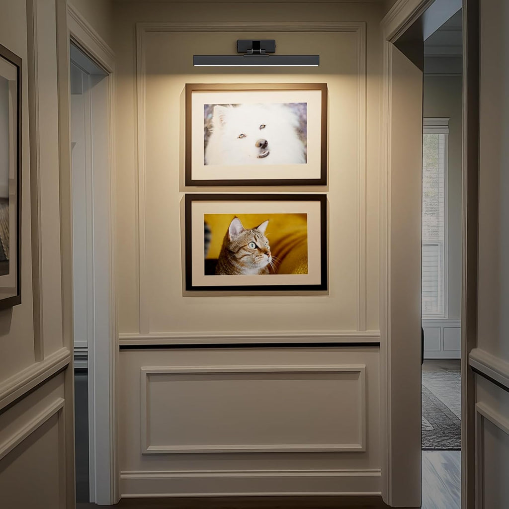 Picture Lights for Wall, Battery Operated Picture Light 16in Gallery Light for Paintings CCT Dimmable Recharging Battery Wall Light with Remote Control for Living Room Dartboard Art Bathroom - Grand Goldman