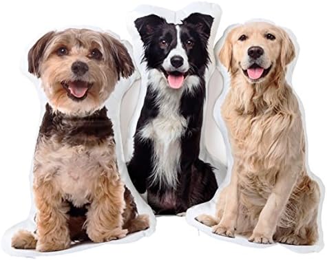 Picture Pillow Custom Pet Pillow Dog Pillows Gift (14", Colorful) - Grand Goldman