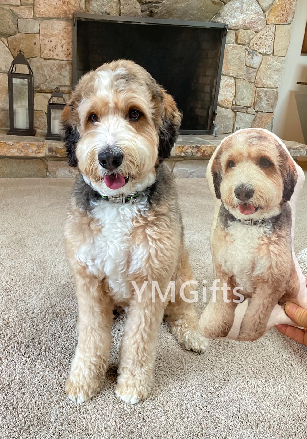 Picture Pillow Custom Pet Pillow Dog Pillows Gift (14", Colorful) - Grand Goldman