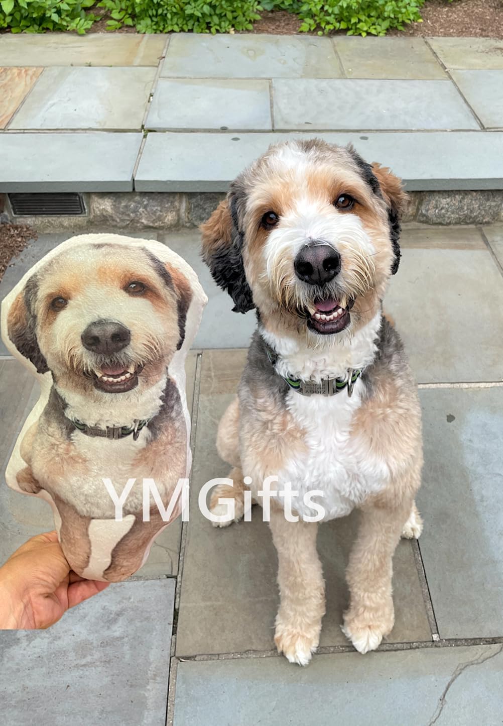 Picture Pillow Custom Pet Pillow Dog Pillows Gift (14", Colorful) - Grand Goldman