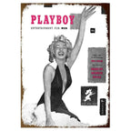 Pinup Girls Sexy Lady Women Metal Tin Signs Posters Plate Wall Decor for Clubs Bars Man Cave Cafe Clubs Retro Poster Plaque - Grand Goldman