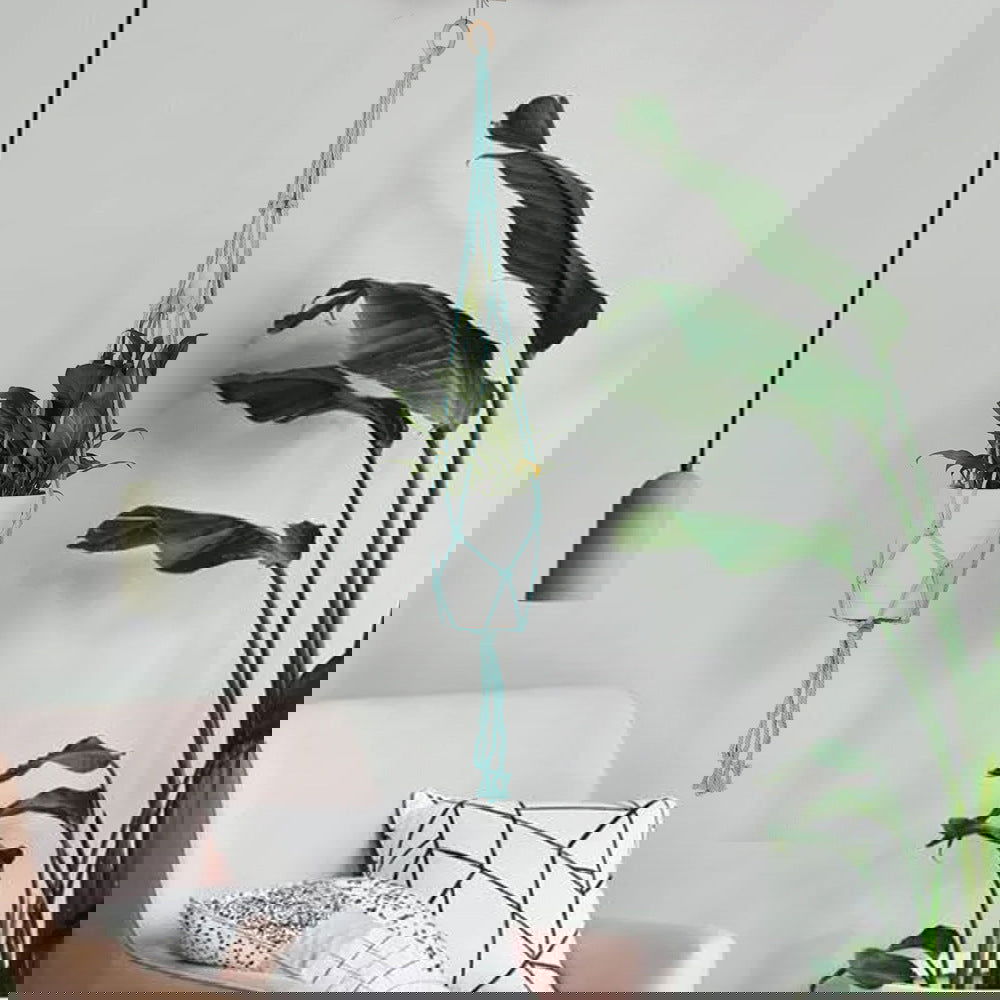 Plant hanging basket tapestry - Grand Goldman