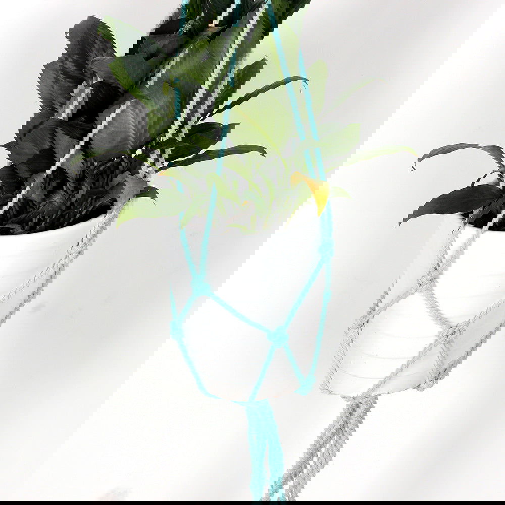 Plant hanging basket tapestry - Grand Goldman