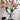 Puransen Clear Book Flowers Vase - Cute Bookshelf Decor; Unique Vase for Book Lovers, Artistic and Cultural Flavor Acrylic Vases for Home Office Decor, A Book About Flowers (Clear - B) - Grand Goldman