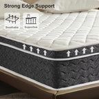 Queen Mattress 12 Inch Hybrid Mattress Queen Size - Memory Foam & Individually Pocket Coils Springs | Pressure Relief | Motion Isolation, Edge Support | CertiPUR-US Certified | Medium Firm - Grand Goldman