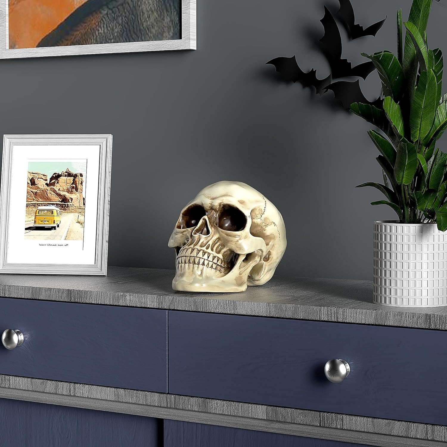 READAEER Life Size Human Skull Model 1:1 Replica Realistic Human Adult Skull Head Bone Model (White) - Grand Goldman