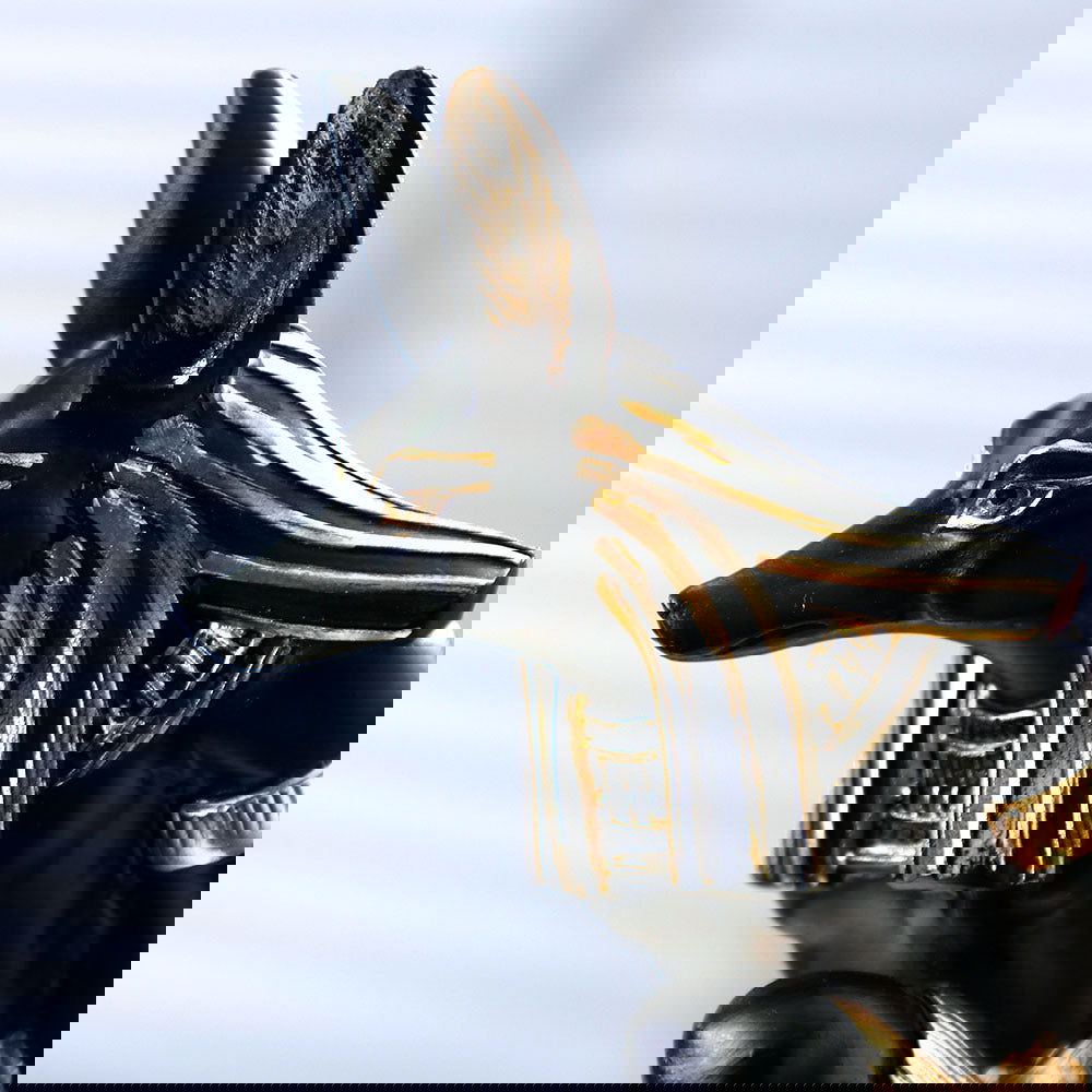 Resin Wine Rack For Household Wine - Grand Goldman