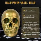 SEKKVY Resin Human Gold Skull Statues Halloween Decor Skeleton Outdoor Human Skull Model Golden Home Decoration (Non-Removable) - Grand Goldman