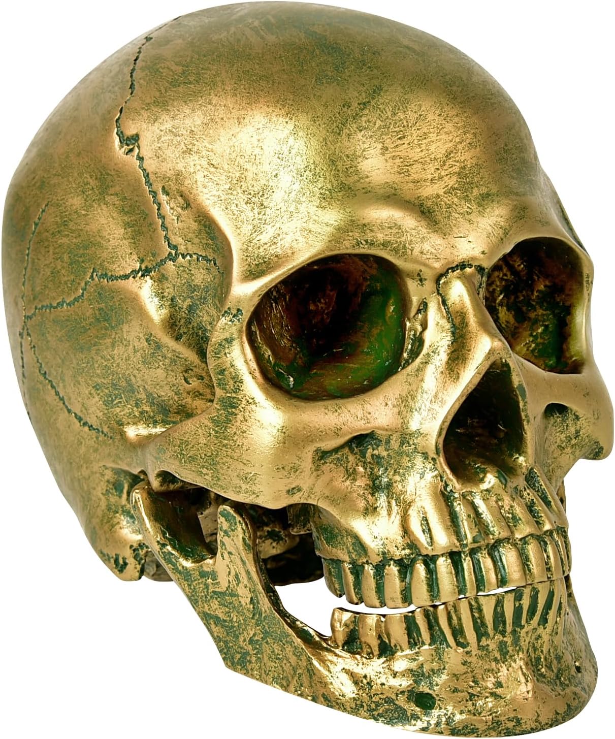 SEKKVY Resin Human Gold Skull Statues Halloween Decor Skeleton Outdoor Human Skull Model Golden Home Decoration (Removable) - Grand Goldman