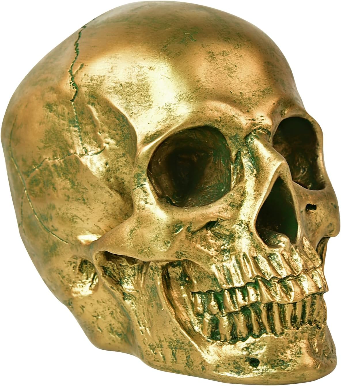 SEKKVY Resin Human Gold Skull Statues Halloween Decor Skeleton Outdoor Human Skull Model Golden Home Decoration (Removable) - Grand Goldman