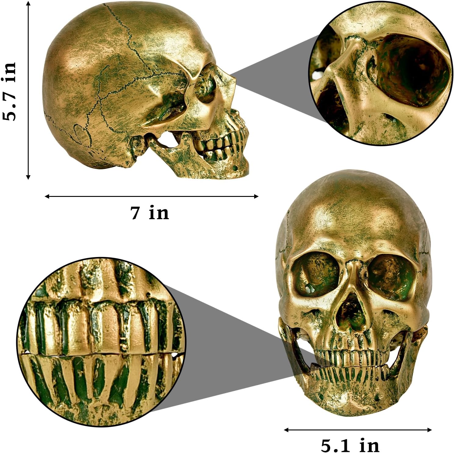 SEKKVY Resin Human Gold Skull Statues Halloween Decor Skeleton Outdoor Human Skull Model Golden Home Decoration (Removable) - Grand Goldman