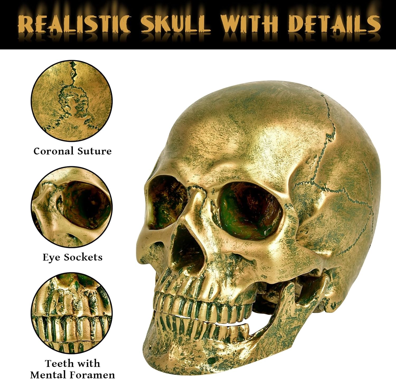 SEKKVY Resin Human Gold Skull Statues Halloween Decor Skeleton Outdoor Human Skull Model Golden Home Decoration (Removable) - Grand Goldman