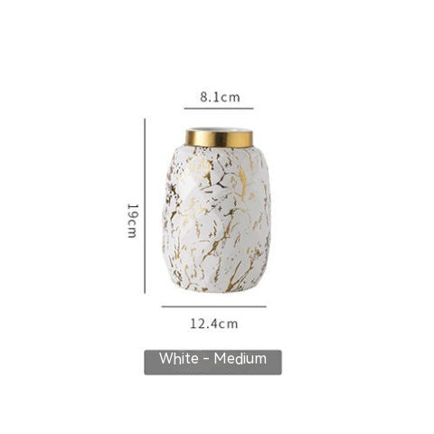 Simple And Modern Gold-painted Light Luxury Living Room Ceramic Vase - Grand Goldman