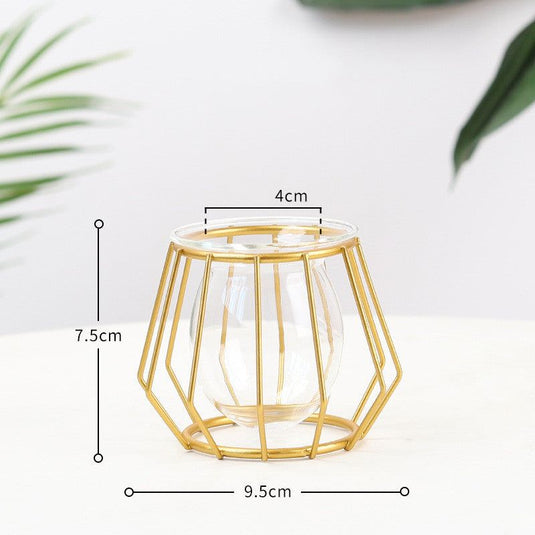 Simple Ins Hydroponic Small Vase Creative Glass Transparent Flower Water Plant Decoration Ornaments - Grand Goldman