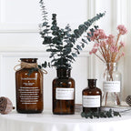 Small Brown Bottle Hydroponic Vase Clear Glass Small - Grand Goldman