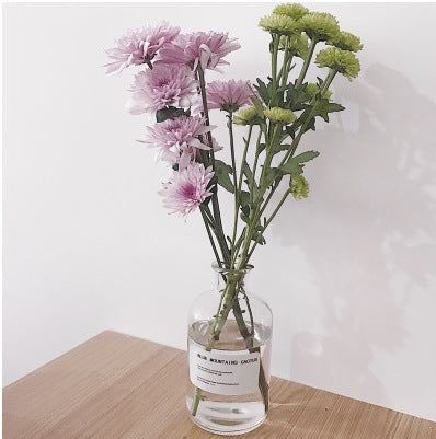Small Brown Bottle Hydroponic Vase Clear Glass Small - Grand Goldman