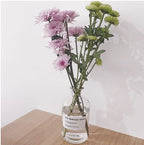Small Brown Bottle Hydroponic Vase Clear Glass Small - Grand Goldman