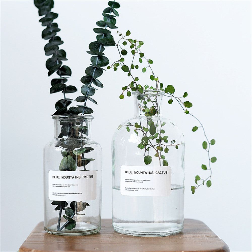 Small Brown Bottle Hydroponic Vase Clear Glass Small - Grand Goldman