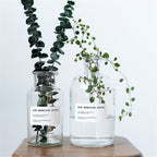 Small Brown Bottle Hydroponic Vase Clear Glass Small - Grand Goldman