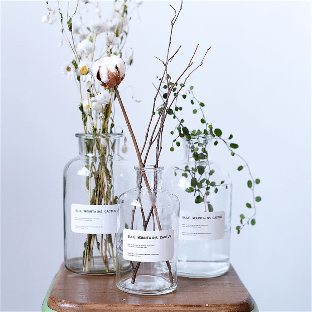 Small Brown Bottle Hydroponic Vase Clear Glass Small - Grand Goldman