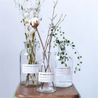 Small Brown Bottle Hydroponic Vase Clear Glass Small - Grand Goldman