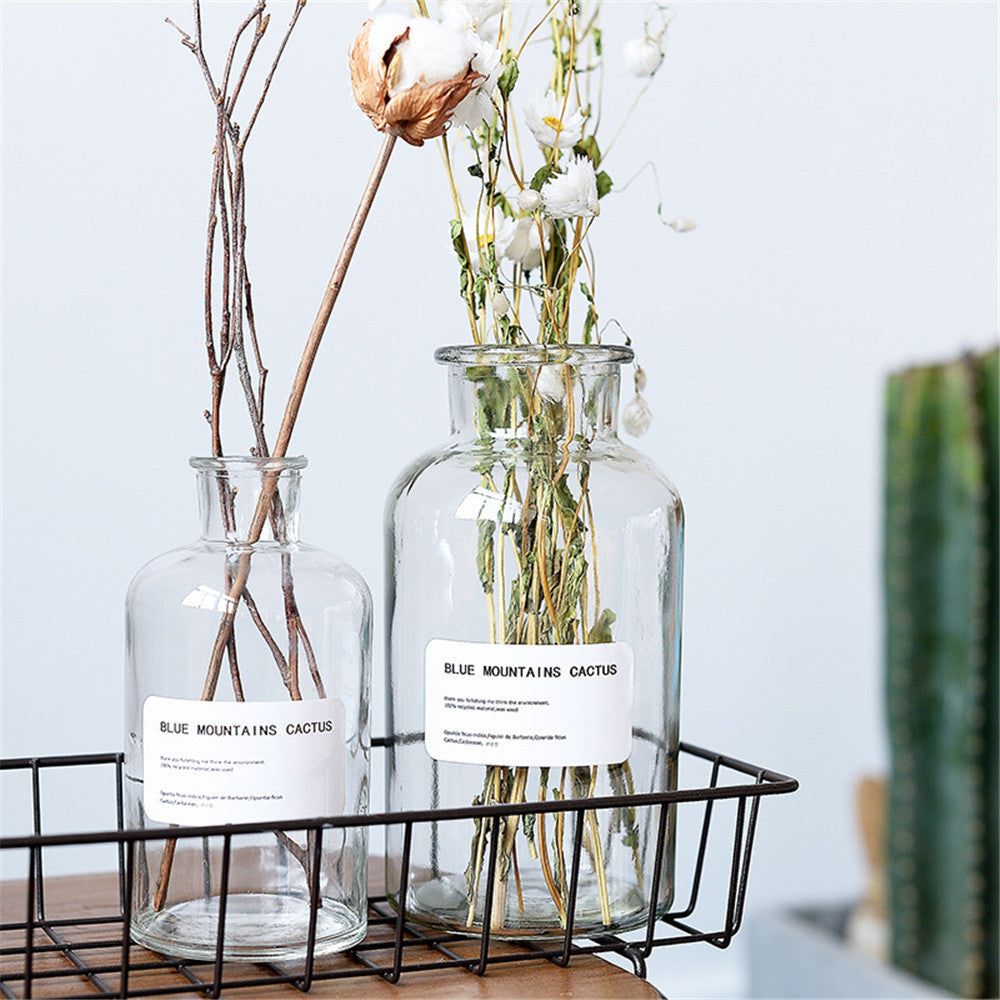 Small Brown Bottle Hydroponic Vase Clear Glass Small - Grand Goldman