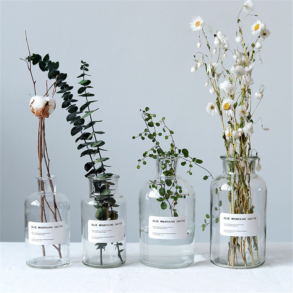 Small Brown Bottle Hydroponic Vase Clear Glass Small - Grand Goldman