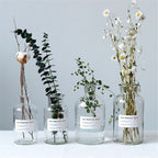 Small Brown Bottle Hydroponic Vase Clear Glass Small - Grand Goldman