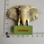 South Africa 3D Animal Tourist Souvenirs Fridge Magnet Refrigerator Sticker Africa's Big Five Resin Painted Crafts Gift Idea - Grand Goldman