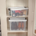 Sterilite 6-Pack Stackable Storage Bin with Lid, Clear Plastic Design, 18 Quart - Grand Goldman