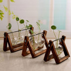 Swing Wooden Stand Hydroponic Plant Container Glass Vase - Grand Goldman