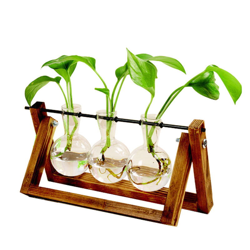 Swing Wooden Stand Hydroponic Plant Container Glass Vase - Grand Goldman