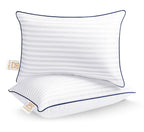 Throw Pillows Insert, 18'' x 18'' Set of 2, Decorative for Couch, Sofa or Bed with Premium Down Alternative Filled, White - Grand Goldman