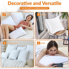 Throw Pillows Insert, 18'' x 18'' Set of 2, Decorative for Couch, Sofa or Bed with Premium Down Alternative Filled, White - Grand Goldman